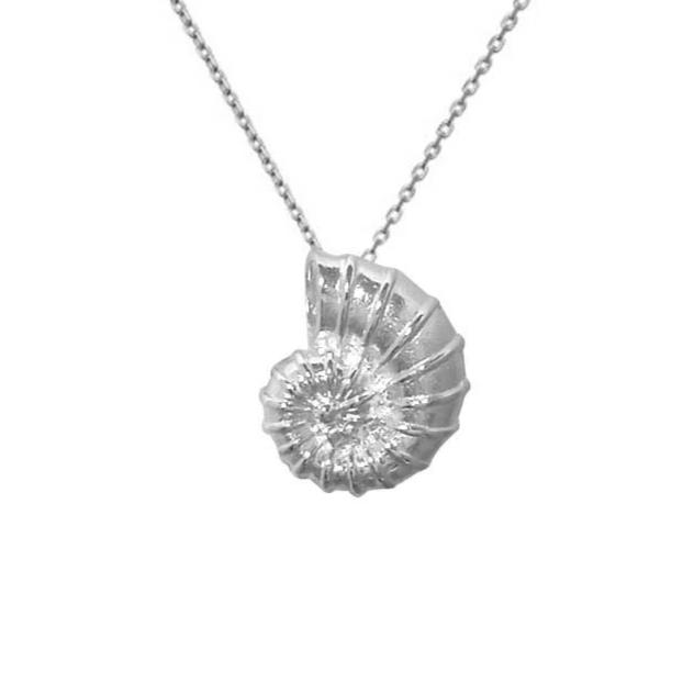 Shell 925 Silver Pendant w/ Chain