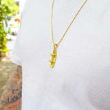 14k Gold Edition Wakeboard Pendant & Earrings w/ Gold Chain